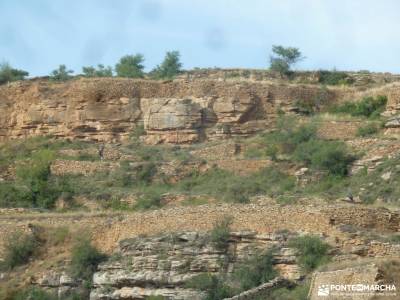 Comarca Maestrazgo-Teruel;membranas impermeables tejo árbol tipos de mochilas para mujer sierra de 